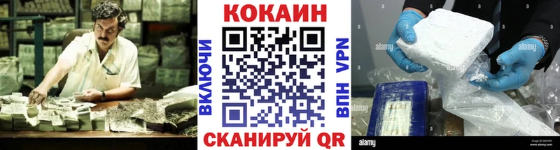 MEGA маркетплейс Камбарка Кокаин Fish Scale