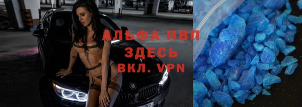 твердый Инсар