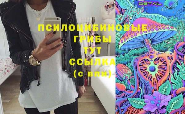 тгк Алексин
