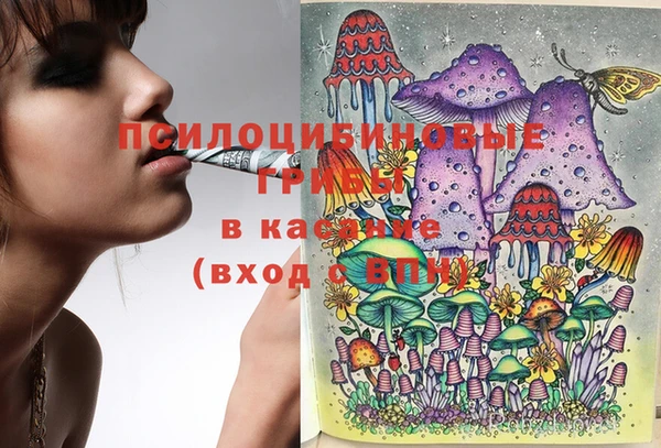 индика Алзамай