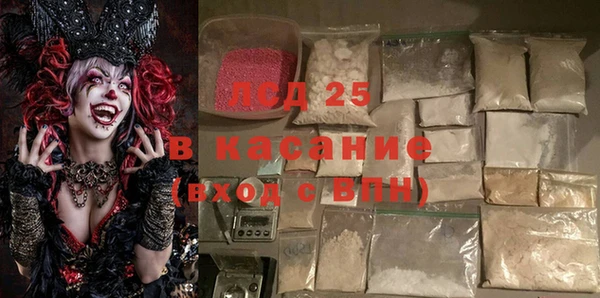 индика Алзамай