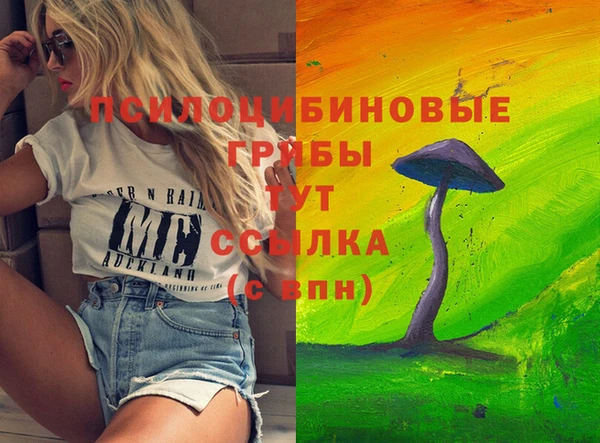 соль ск Алексеевка