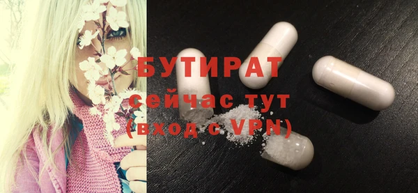 индика Алзамай