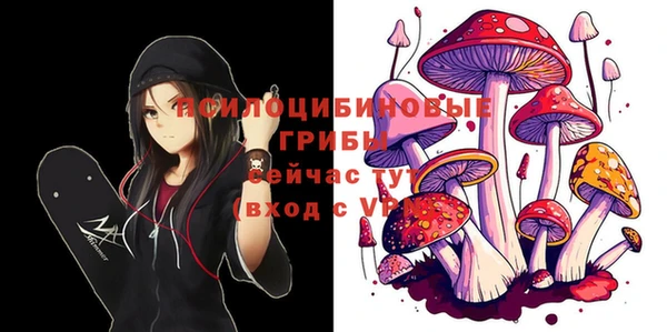индика Алзамай