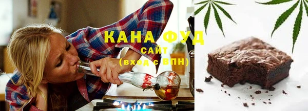индика Алзамай