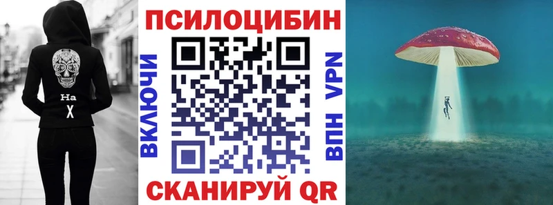 купить закладку  Камбарка  мега ТОР  Галлюциногенные грибы прущие грибы 